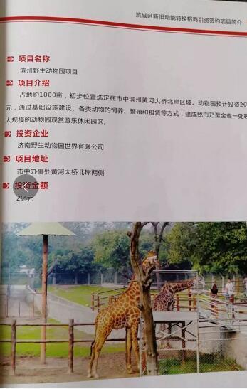 厲害了我的大濱州，15個招商引資項目集中簽約！