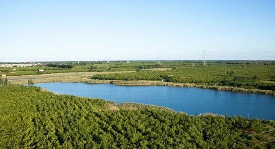 厲害了我的大濱州，15個招商引資項目集中簽約！